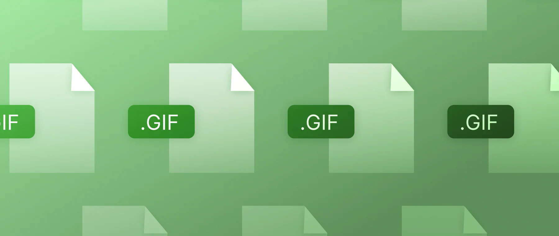 Cosa sono le GIF: guida per crearle e usarle