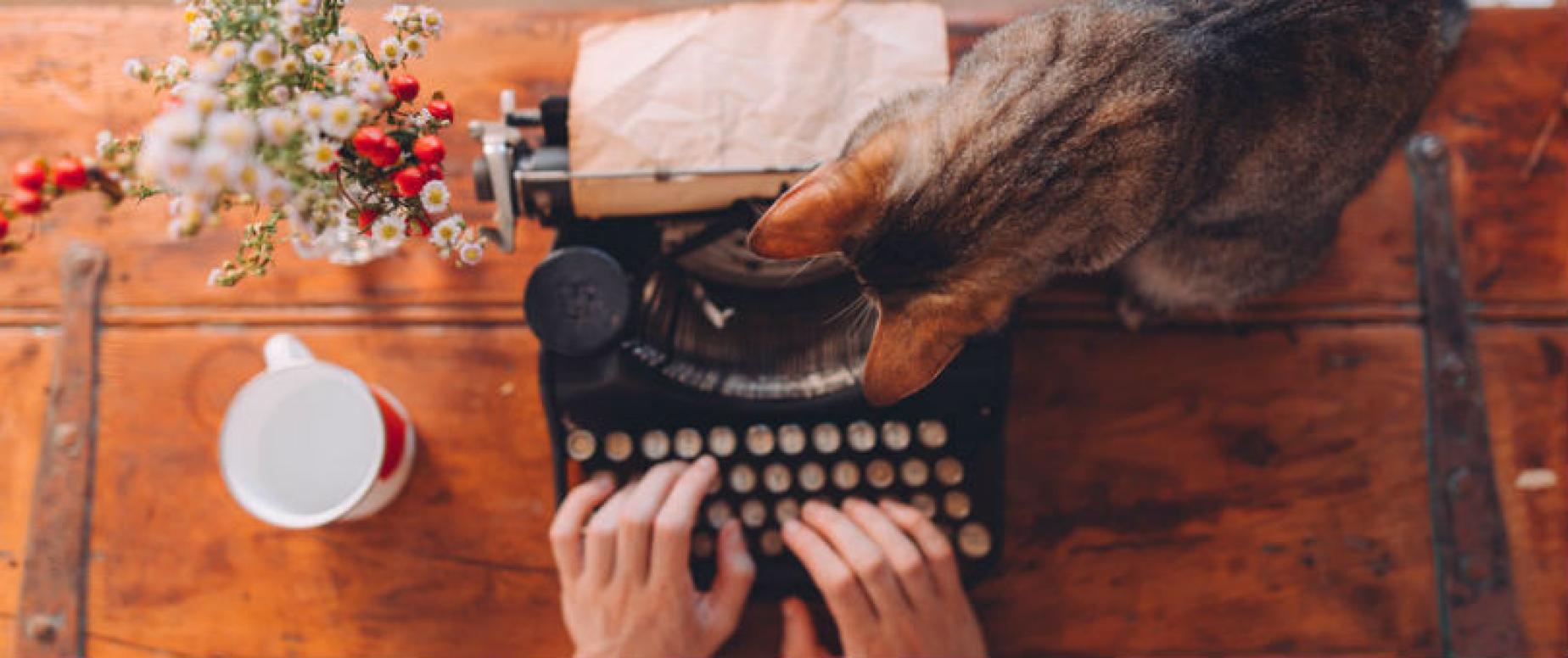 I migliori consigli di Luisa Carrada su microcopy e call to action
