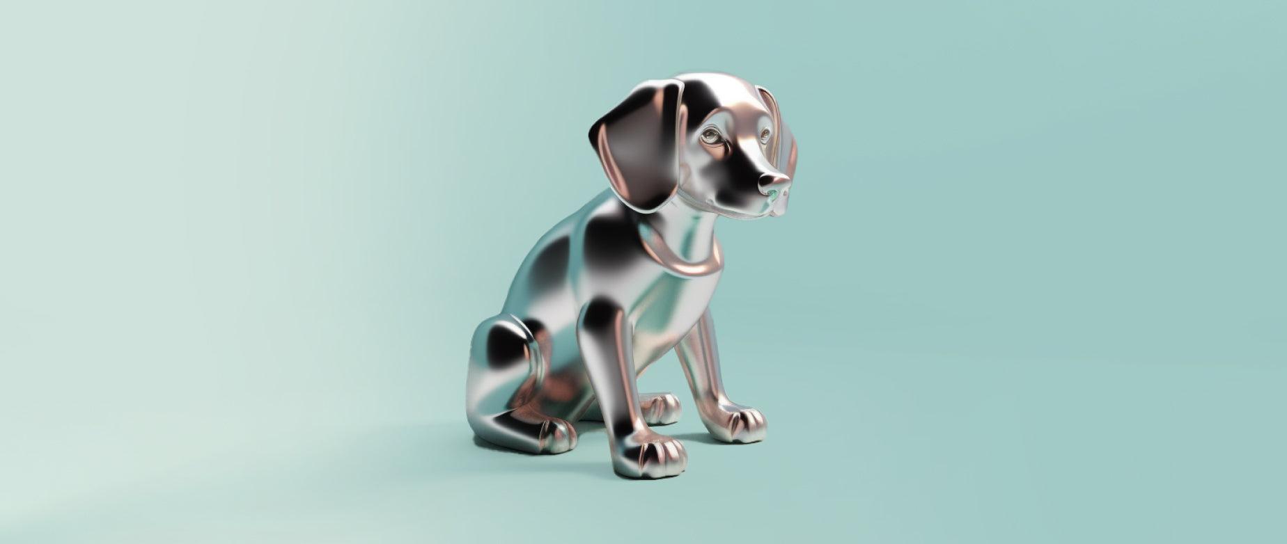 Come aprire un negozio di articoli per animali in 9 passi