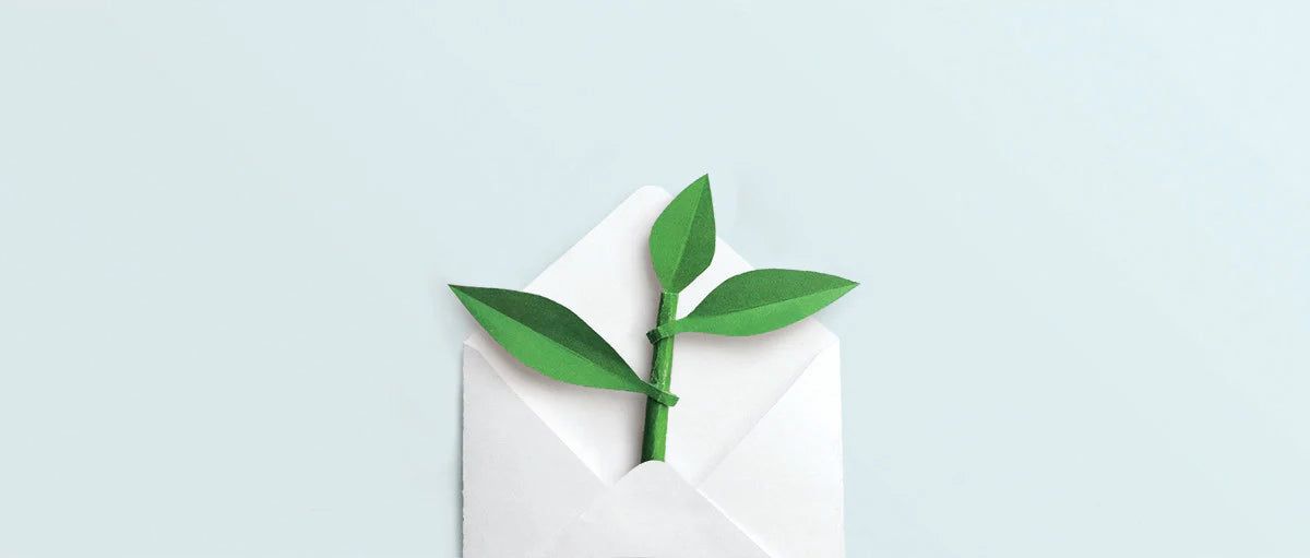 Direct Email Marketing: cos’è e 5 esempi