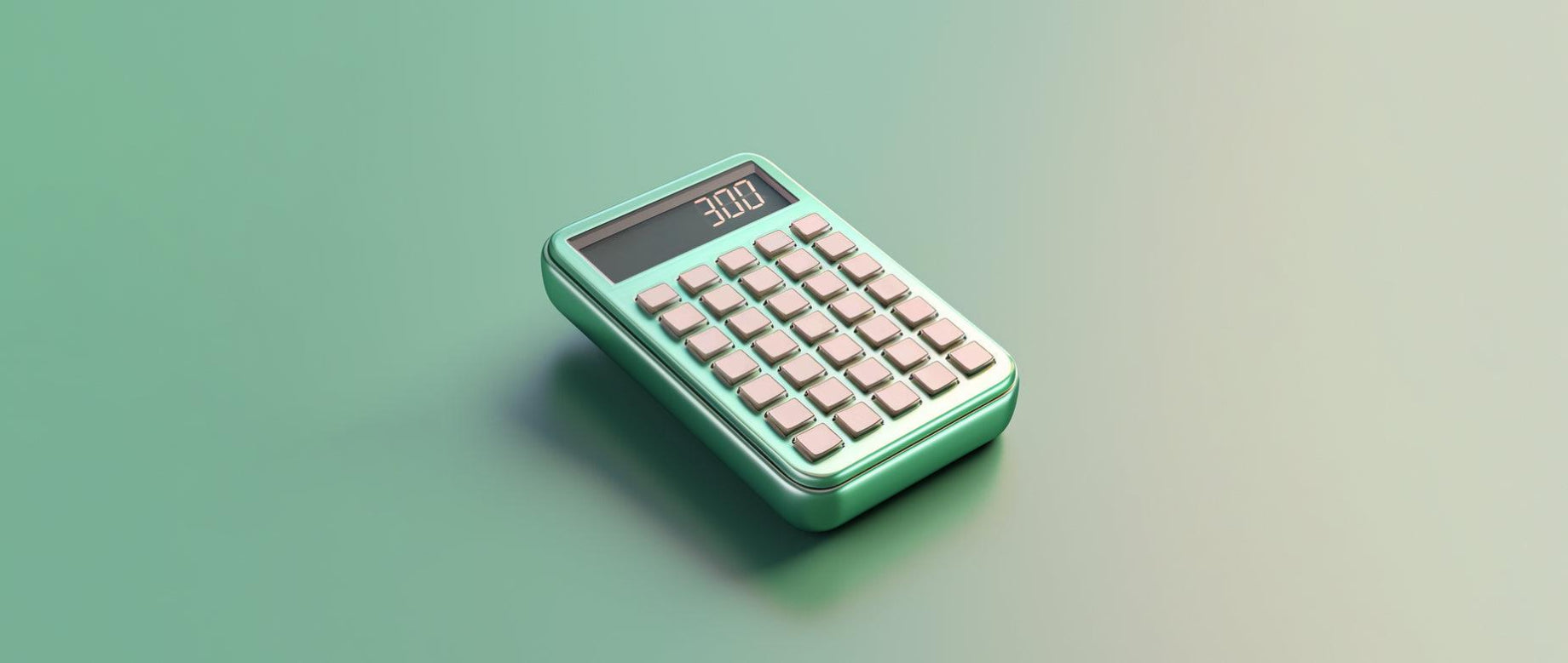 Contabilità per ecommerce: guida per principianti (2024)